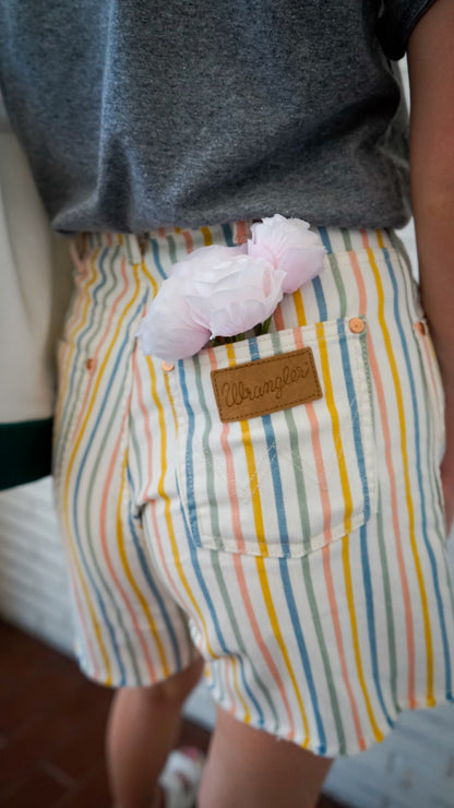 Cabana Striped A Line Wrangler Denim Shorts